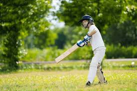 Image result for Scruton Cricket Club