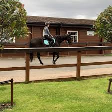 Image result for Fife Riding Club