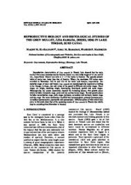 Image result for Liza ramada