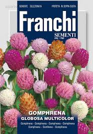 Image result for Kugelamarant