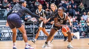 Image result for Sheffield Hatters Basketball Club