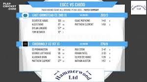 Image result for Chiddingly Cricket Club