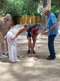 Image result for Tregony Petanque Club