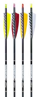 Image result for Row Brow Field Archery