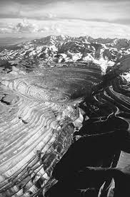 Attēlu rezultāti vaicājumam “Diderma ochraceum young”