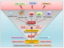 「ラブライナ・ワーズワース ワイルドアームズ クロスファイア」の画像検索結果