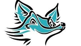 Image result for Foxes Netball Club
