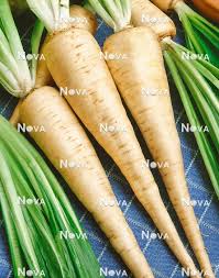 Attēlu rezultāti vaicājumam “Cichorium intybus”