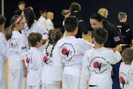 Image result for Martial Arts Karate Mesa AZ