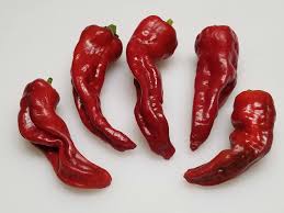 Afbeeldingsresultaat voor numex chimayo hot pepper