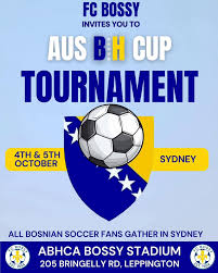 Image result for Heatherton village fc