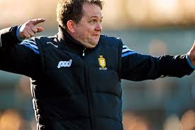 Image result for Clarehurlers