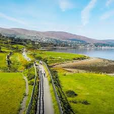 Image result for Louth Velo