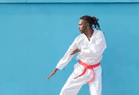 Image result for COMBAT TAEKWONDO