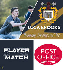 Image result for Brymbo Cricket Club