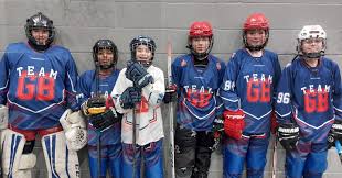 Image result for Ash Avalanche Skater Hockey Club