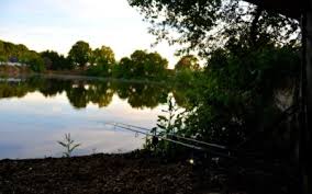 Image result for Woking & District Angling Association