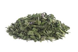 Attēlu rezultāti vaicājumam “Stachys officinalis leaf”