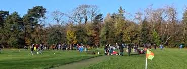 Image result for Camberley Ladies Football Club