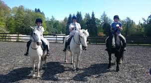 Image result for Peebles & District Riding Club