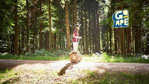 Image result for The Go Ape Experience (Swinley Forest)