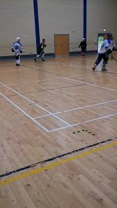 Image result for Ballymena Vandals