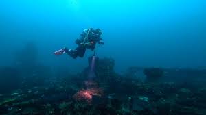Image result for Scuba Skooling