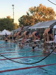 Image result for Hastings Seagulls Swimming Club