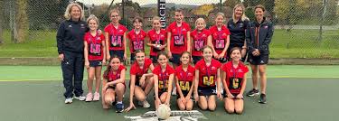 Image result for Winchester Netball Club