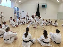 Image result for Redhill Karate Association
