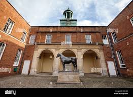 Image result for The Horse Racing Club