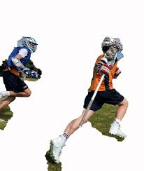 Image result for Borders Junior Cricket Coaching Club