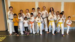 Image result for Kenshukai Karate