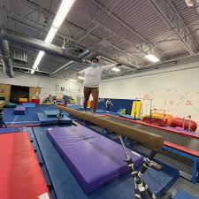 Image result for North Devon Display Gymnastics Club