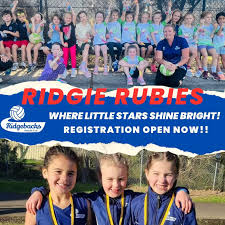 Image result for Bridgford netball club