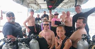 Image result for Diveline