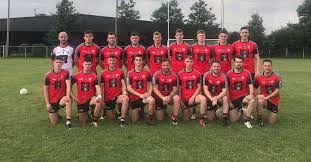 Image result for Parnells Gaelic Football Club