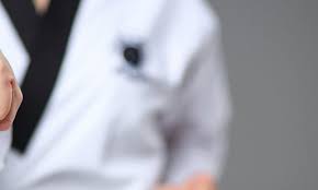 Image result for COURT FIELDS karate Academy