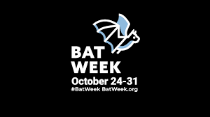 Attēlu rezultāti vaicājumam “Lycogala cf. oleocrystalliferum young”