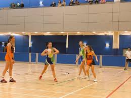 Image result for Huddersfield Giants Netball Club