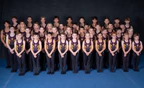 Image result for Arun Gymnastics Club