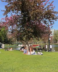 YGGDRASILL4657에 대한 이미지 검색결과