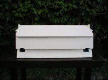 Image result for Bristol Swifts