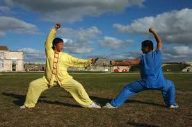 Image result for kung fu