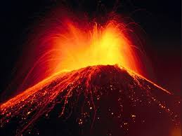 http://t0.gstatic.com/images?q=tbn:ANd9GcRyvKuqFhtL0s1d3snbSUQGtjezkYNp923KcBds6PSCgjyDvZ5Pig
