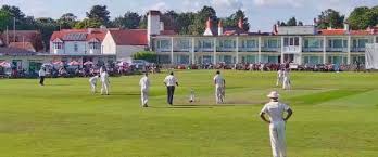 Image result for Thornbury Cricket Club