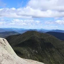 Attēlu rezultāti vaicājumam “Tubifera montana spores”