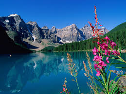 http://t0.gstatic.com/images?q=tbn:ANd9GcRywGkdCYKew93mNexoCT0lQStJvjuRRmD5HFBwoVzl3mxXnnJCqg
