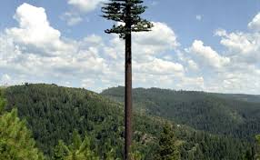 Image result for cell phone tower