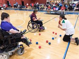 Image result for North Wales Boccia